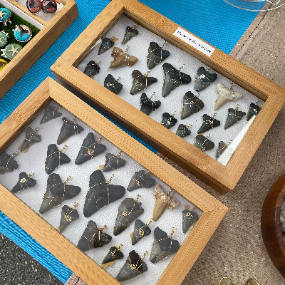 Shark Tooth Pendants