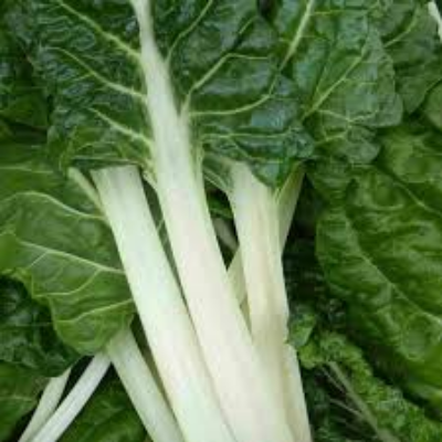 Swiss Chard