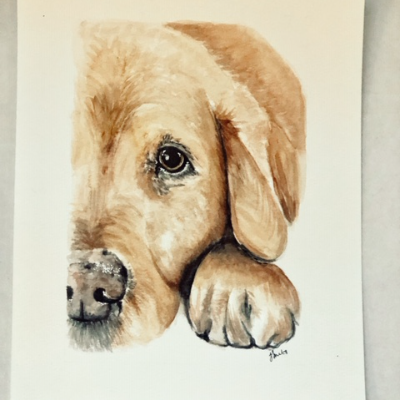 Custom Pet Portrait