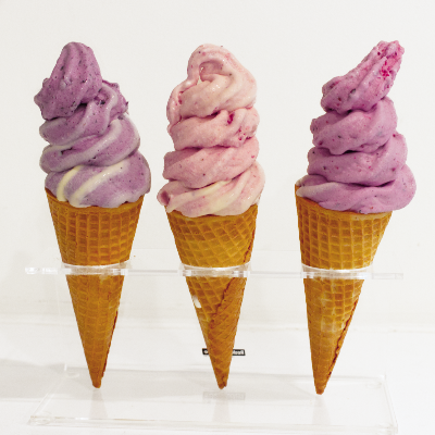 New Zealand Style Real Fruit Ice Cream