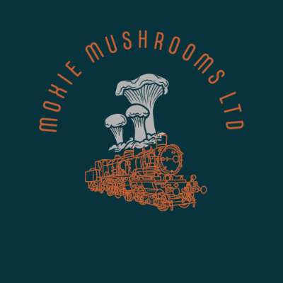 Tiered Tooth Mushroom