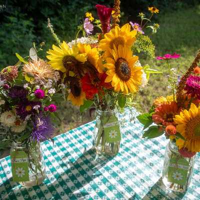 Fresh Cut Flowers