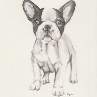 Pet Prints