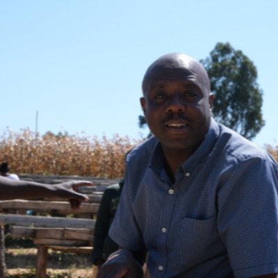 Tanzania Nsoga Iwezya - 5 Lb