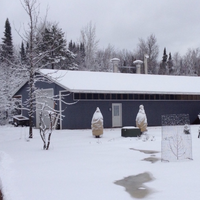 100% Pure Wi Maple Syrup