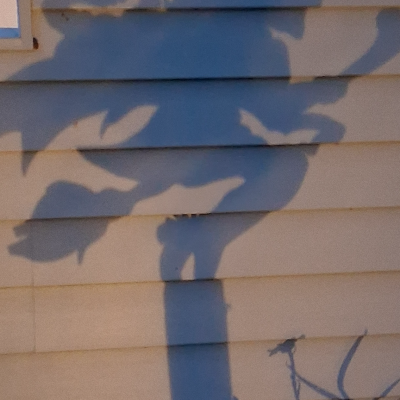 👻 Outdoor Shadow Light – Spooky & Seasonal Yard Decor