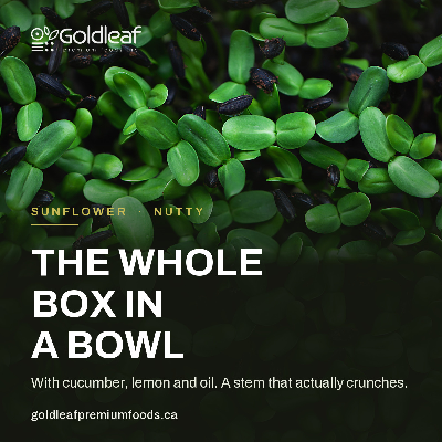 Live Sunflower Microgreens