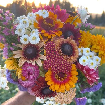 Farm Fresh Cut Flowers