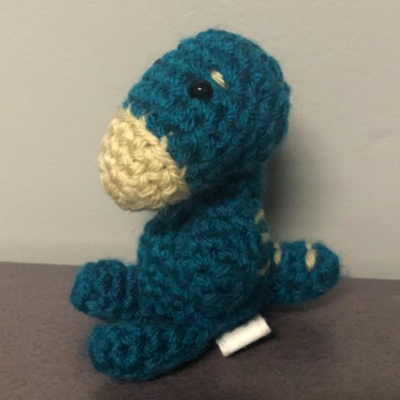 River's Ride - Book 'N Buddy Combo