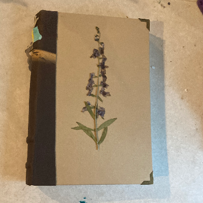 Dried Flower Journal
