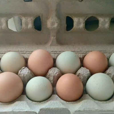 Pasture-Raised Eggs