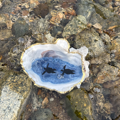 Oyster Shells