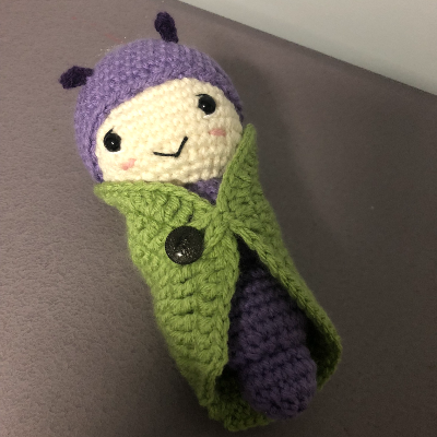 Winona's Butterflies - Book 'N Buddy Combo