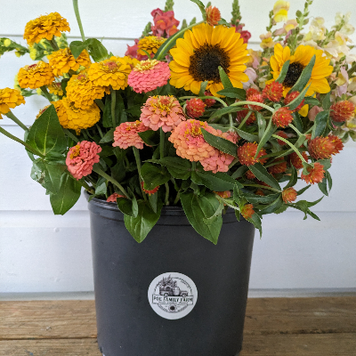 Cut Flower Bouquets & Arrangements