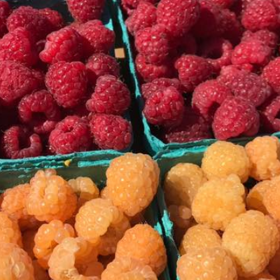 Raspberries