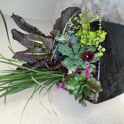 Container Garden By Peterson's Petals