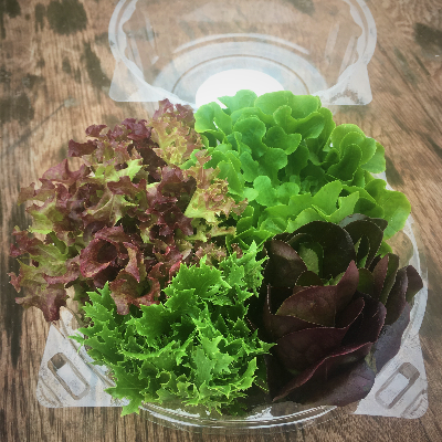 5 Oz Clamshell Of Signature 'Highlands Blend" Lettuce (At Least 3 Varieties)