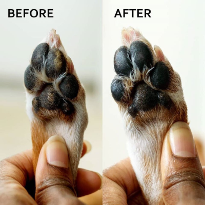 Calming Lavender Dog Paw Balm - For Dogs With Allergies And Skin Problems, Pet Wellness Supplies