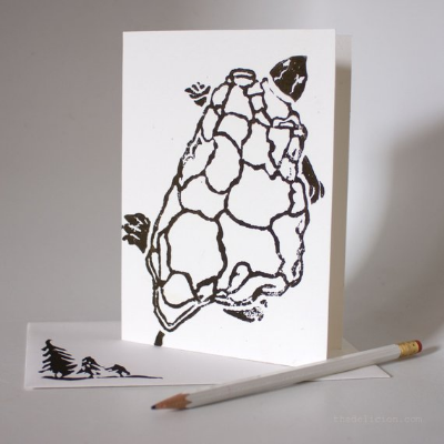 Note Cards