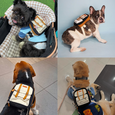 Ruffsack Handmade Dog Backpack With Harness – Dale In Black