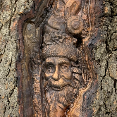 14-Santa In Log