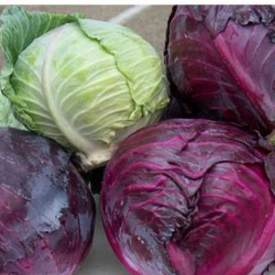 Red Cabbage & Green Cabbage