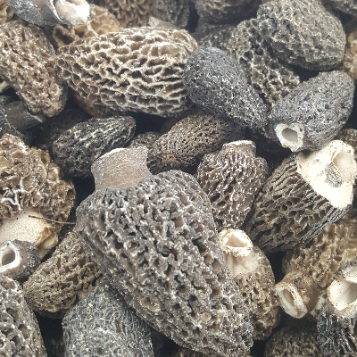 Fresh Wild Mushrooms