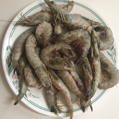Seasonal Shrimp-Jumbo