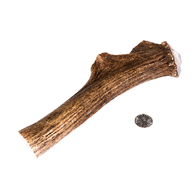 Jumbo Split Antler Dog Chew
