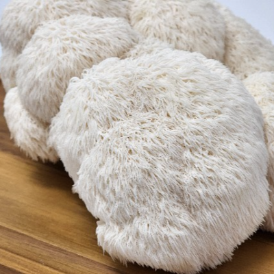 Lions Mane Mushrooms Fresh