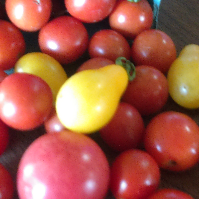 Mixed Cherry Tomato Variety
