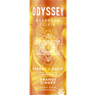 Odyssey Elixirs Orange Ginger Sparkling