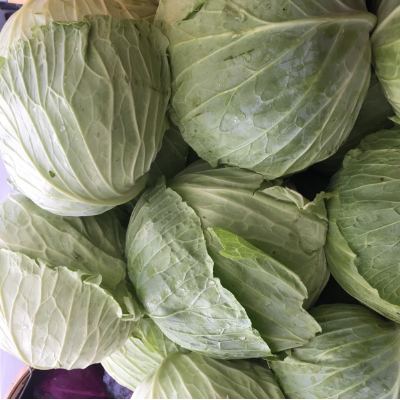 Cabbage