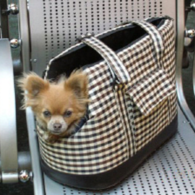 Doggy Bag For Your Small Dog