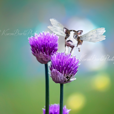 Fun Fine Art And Whimsical Animal Art