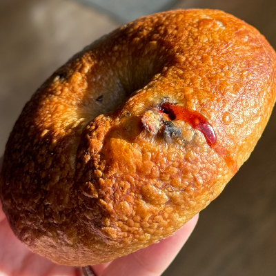 Cranberry Bagel