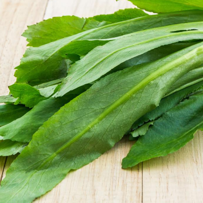 Culantro