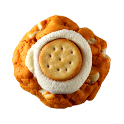 Cheddar Cheese Cookie