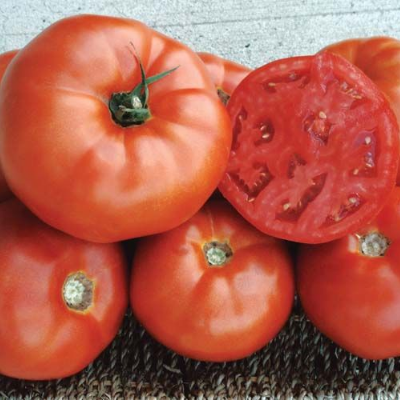 Tomatoes
