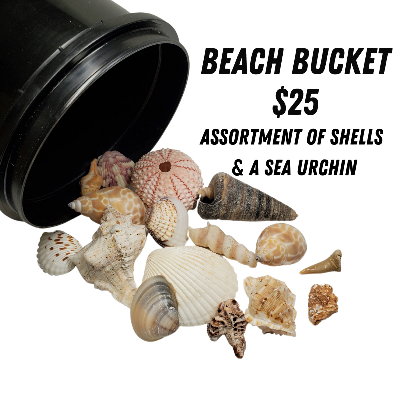 Mini Midwest Beach Bucket