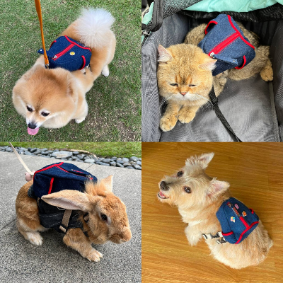 Ruffsack Handmade Dog Backpack With Harness – Lee