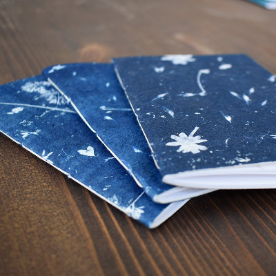 Cyanotype Notebook Set