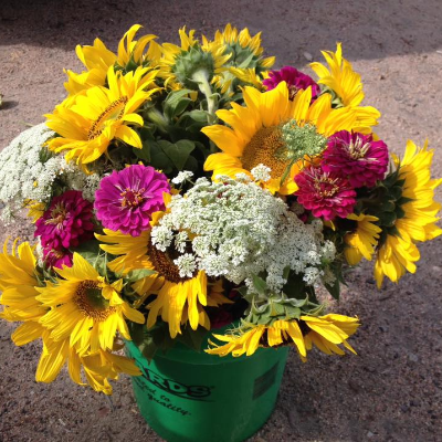 Fresh-Cut Flowers