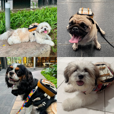 Ruffsack Handmade Dog Backpack With Harness – Dale In Black