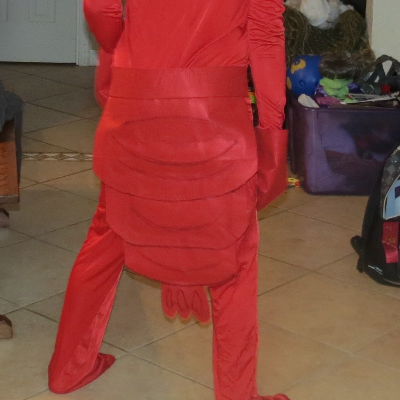 Lobster Costume