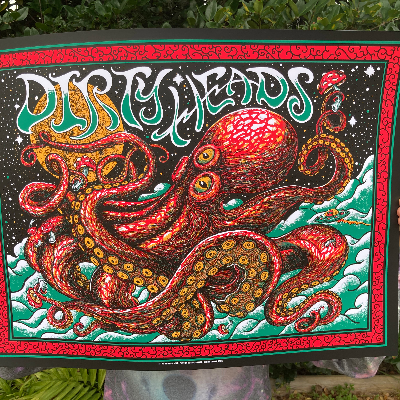 Dirty Heads Cosmic Octopus Poster