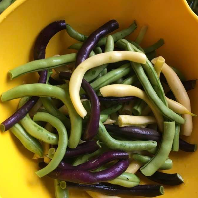 Snap Beans