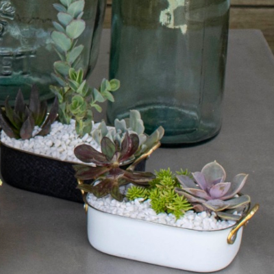 Small Container Gardens To-Go
