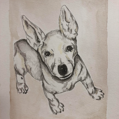 Custom Pet Portrait