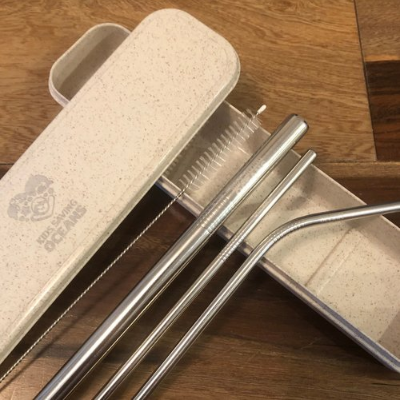 Recycled Plastic Case Straw Kit